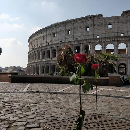 St. Joseph 47 Appartamento *